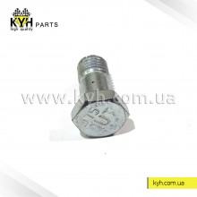 Болт зворотної подачі палива ТАТА, Еталон /BOSCH-Індія/